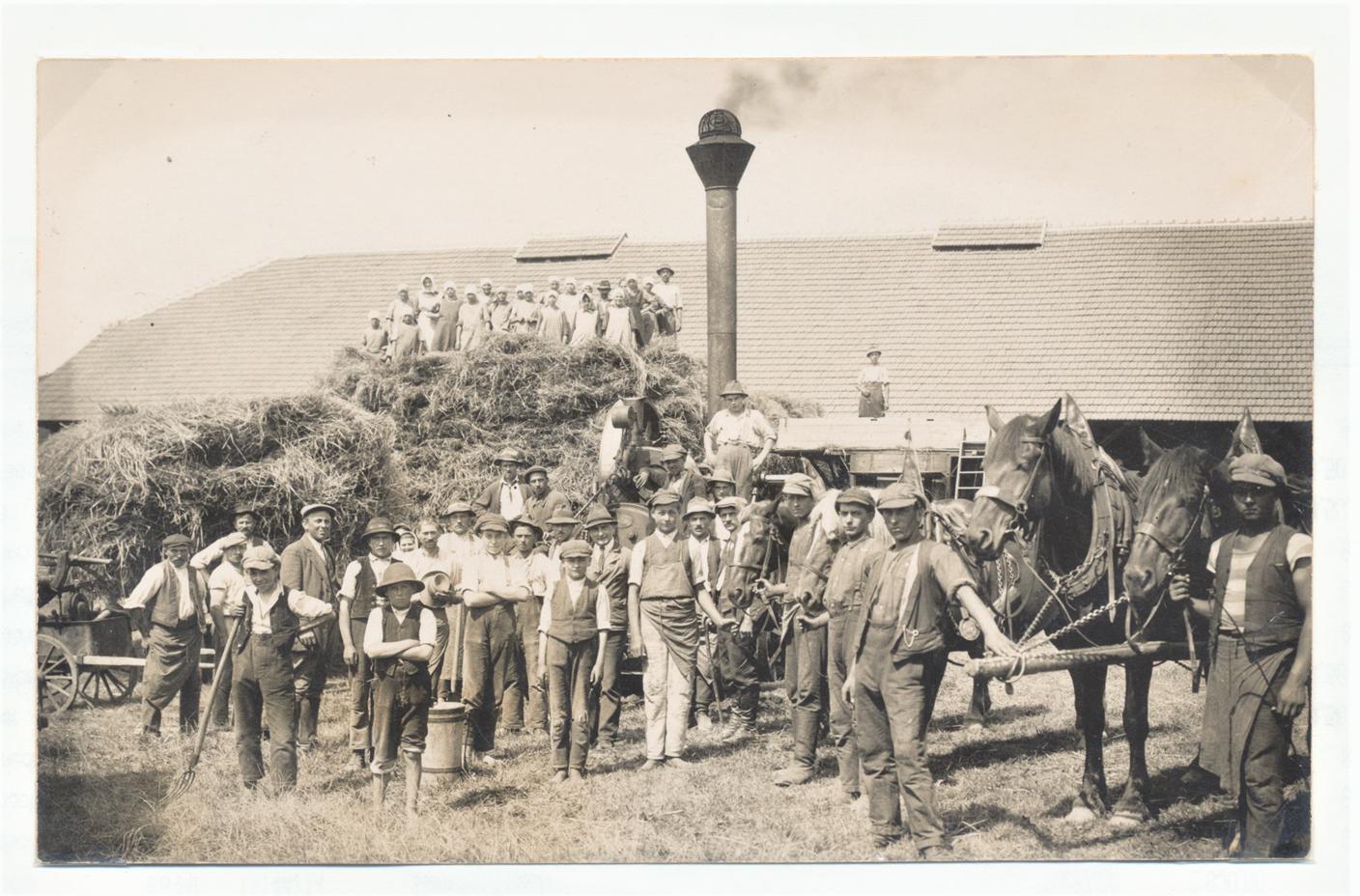 Fotografie "Drusch im Gutshof", Wilfersdorf um 1930